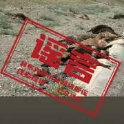 网传新疆“碰撞牧民牛羊要赔20W” 信息不实