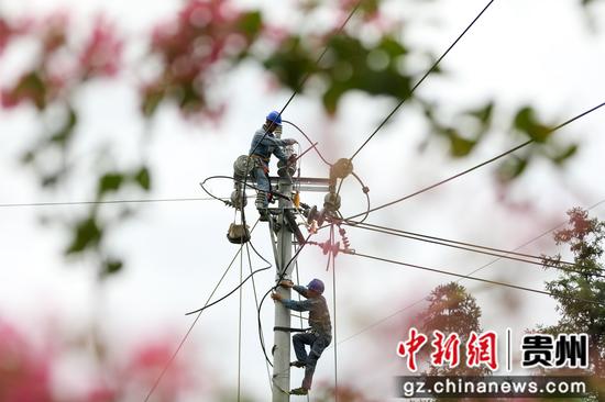 在贵州省黔东南苗族侗族自治州天柱县高酿镇，南方电网贵州凯里天柱供电局组织施工人员开展10千伏高甘线防冰加固配网改造工作，进一步提升线路防灾抗灾能力。张宇慧 摄