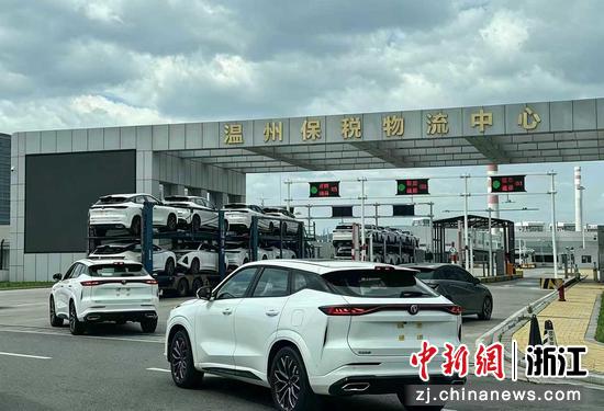 出口车转运工作现场。乐清市委宣传部供图