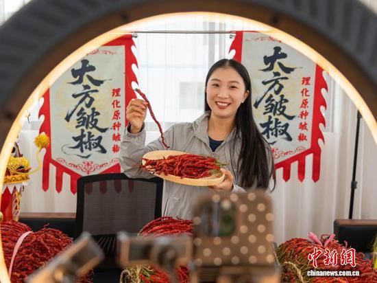 图为主播正在直播带货卖皱椒。李安连 摄