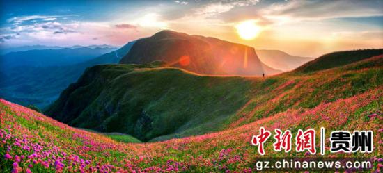 韭菜坪。毕节宣传部供图