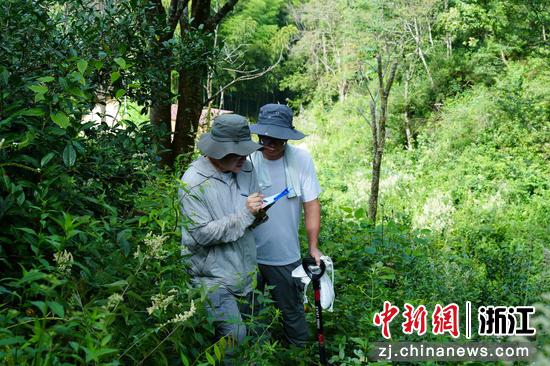 浙江省地质院的农业地质调查队深入庆元深山。 浙江省地质院供图 浙江省地质院的农业地质调查队深入庆元深山。 浙江省地质院供图