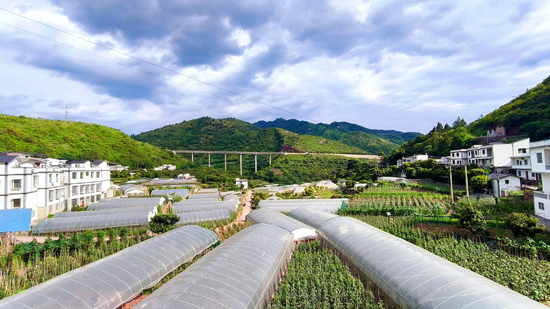 大棚基地连片铺开，特色农业绘就乡村振兴画卷。习水县融媒体中心供图