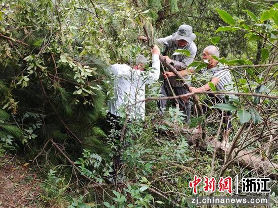 浙江省地质院的农业地质调查队深入庆元深山。 浙江省地质院供图 浙江省地质院的农业地质调查队深入庆元深山。 浙江省地质院供图