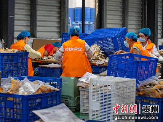图为9月1日，在贵州欣扬农业科技发展有限公司，工人正在包装刺梨衍生产品。
