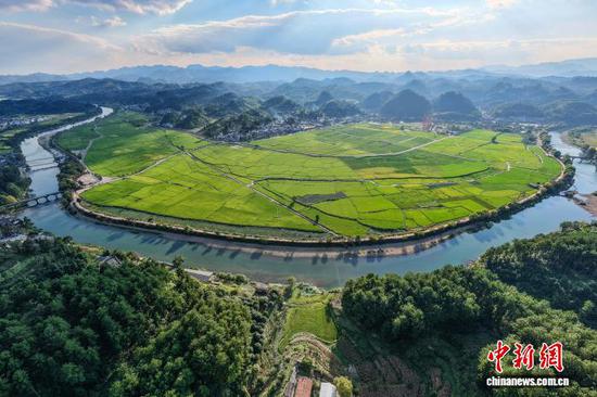 贵州贵定：金海坝区稻穗渐黄铺展丰收色