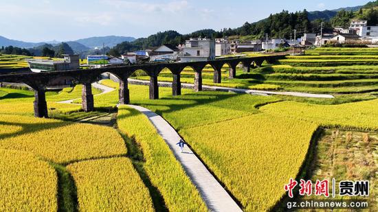 独山高岩梯田的秋日浪漫