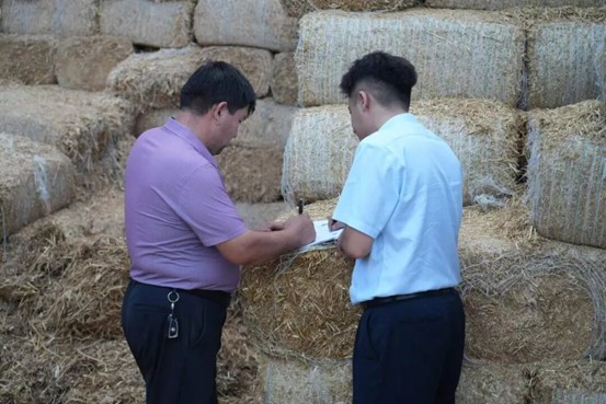 新疆农商银行叶城县支行近四成信贷资金赋能县域畜牧发展