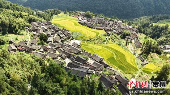 秋日稻田与村庄美景