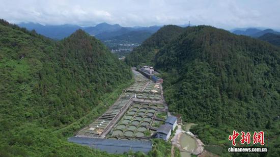 航拍贵州省江口县凯德街道小龙塘冷水鱼养殖基地。杨康 摄 航拍贵州省江口县凯德街道小龙塘冷水鱼养殖基地。杨康 摄