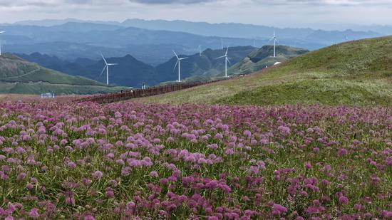 2026年8月28日，韭菜坪风景 盛灿 摄