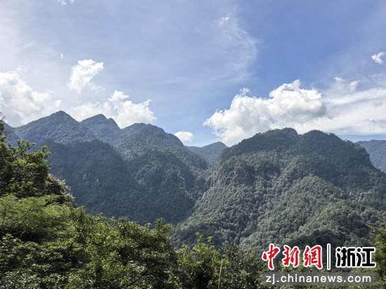 雄伟的五指峰 作者供图