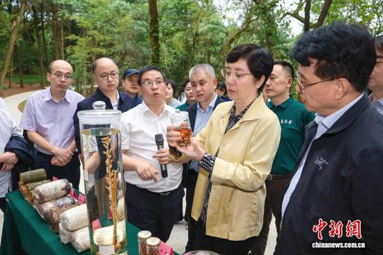 图为与会领导、嘉宾考察天麻全产业链发展情况。农工党中央供图