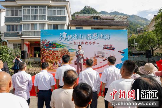 “淳货出山&nbsp;南枣出海”左口收枣季活动现场。淳安县委宣传部供图