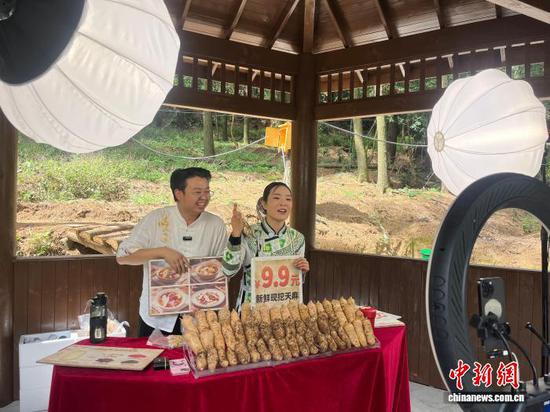 图为贵州省大方县一种植基地正在直播售卖天麻。杨茜 摄