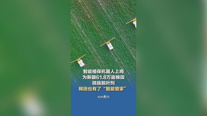 智能植保机器人上岗 为新疆61.8万亩棉田喷施脱叶剂 棉田也有了“智能管家”