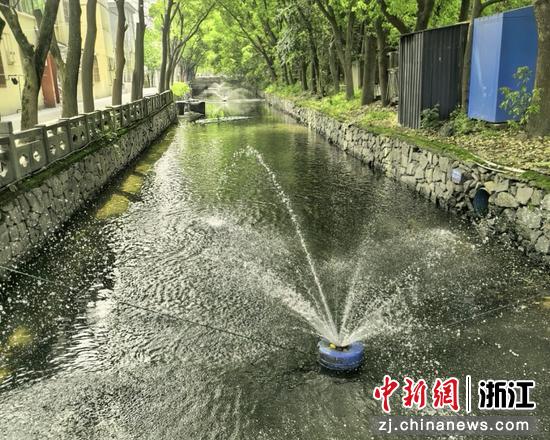 近日，河段治理后现场。庄市街道&nbsp;供图