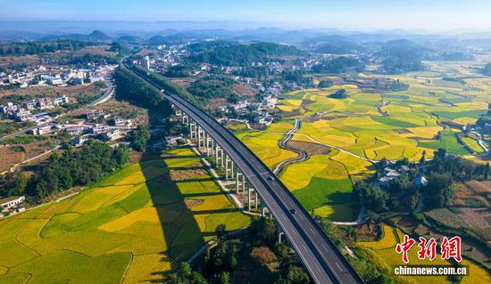 图为贵州省黔西市金碧镇铧口寨社区高标准农田稻浪翻滚，“丰”景如画。