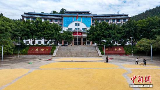 图为村民在贵州省从江县人民政府广场晾晒稻谷。（无人机照片）吴德军 摄