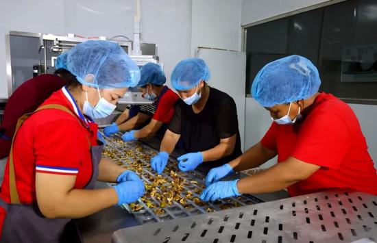 在岳普湖县无花果深加工车间，工人们正在流水线上有序分拣无花果果干。