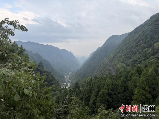 图为娄山关。杨茜 摄