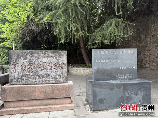 图为 杨茜 摄 图为 杨茜 摄