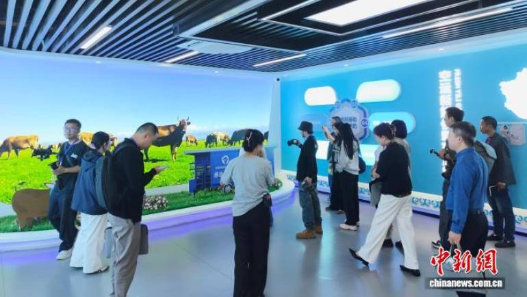 探访新疆伊宁特色企业 感受新疆“数”“绿”转型活力