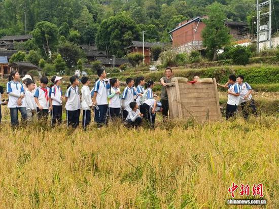 贵州石阡：小学生稻田里上劳动课迎丰收