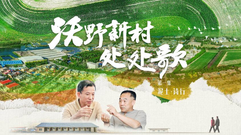 人文纪录片《沃野新村处处歌》第一集：《泥土·诗行》