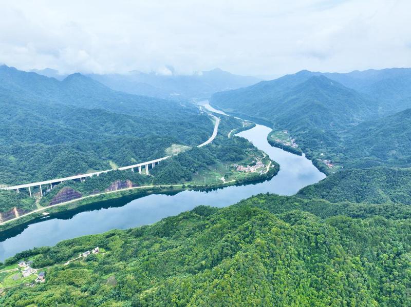 桂江两岸满目苍翠。梁永艺 摄 桂江两岸满目苍翠。梁永艺 摄