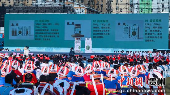 图为薏仁米成果发布现场。