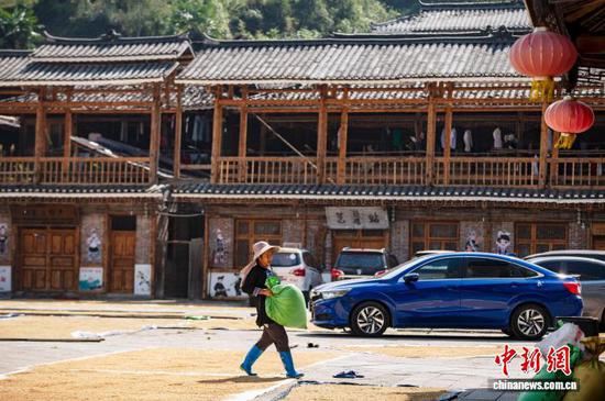 图为9月20日小黄侗寨的村民在搬运稻谷。吴德军 摄