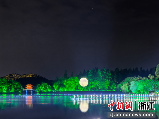 翠影凌波唱茶歌 作者供图