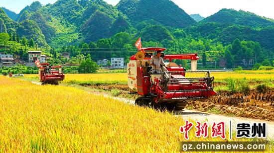 收割机排队进入田地