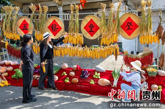 2026年9月25日，贵州省黔西市洪水镇庆丰收系列活动，村民家庭院浓浓的丰收氛围吸引游客。
