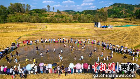 2026年9月25日，贵州省黔西市洪水镇庆丰收系列活动现场，村民开展田间捉鱼比赛（无人机照片）。