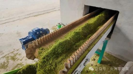 粉碎的葡萄枝叶。马红红 摄