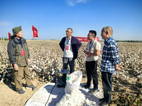 察县棉花种植基地，农业专家现场采摘棉花进行测产。