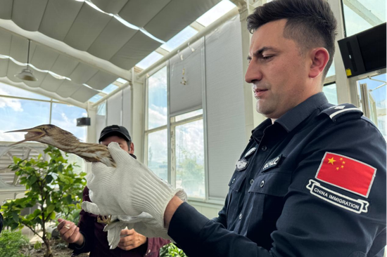 民警对大麻鳽进行细致检查并投喂。