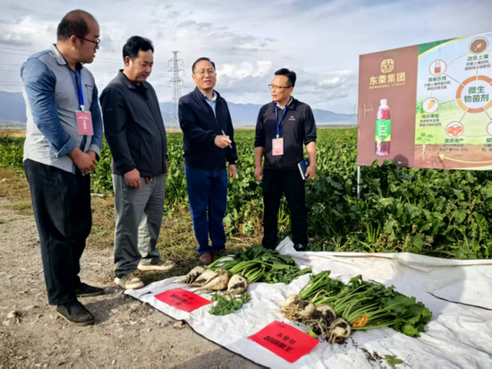 昭苏县测产现场，自治区农科院作物所甜菜团队首席研究员董心久和甜菜种植农户交流。
