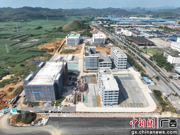 柳州市国际生物健康科技产业园项目建设正忙