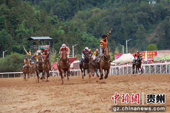 2026年“贵州村马”第四届端节全国赛马邀请赛在三都赛马城火热开赛