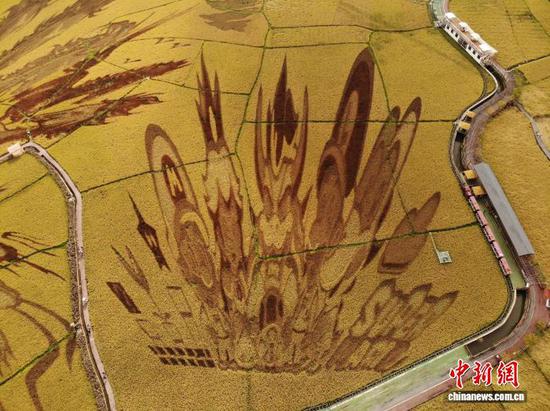 贵州平坝：稻田为布绘“丰”景