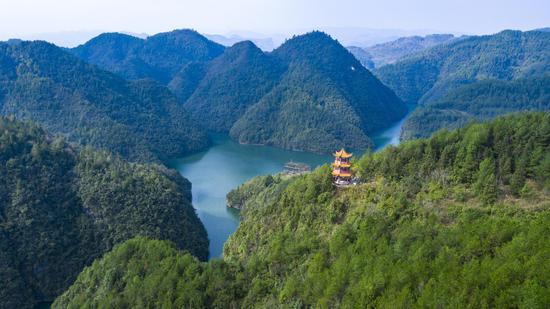 枫香乡2021年12月鸳鸯湖国家湿地公园 吴剑 摄 枫香乡2021年12月鸳鸯湖国家湿地公园 吴剑 摄
