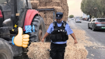 新疆：运草农机草垛散落，民辅警快速清扫处置