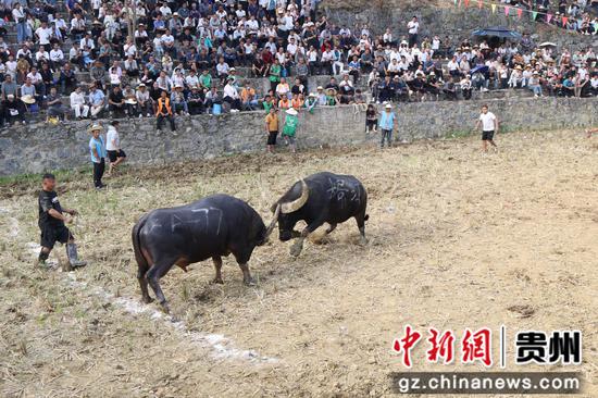 三都苗族群众欢度吃新节