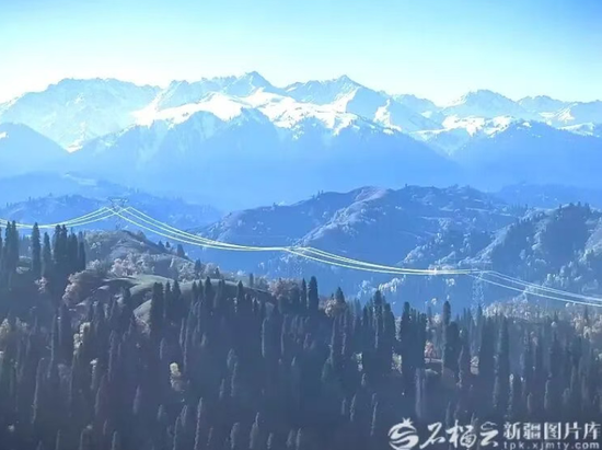 雪岭云杉是天山最主要的森林树种，被誉为天山的“绿色长城”，是天山森林生态系统的核心。位于巩留县东南部山区的库尔德宁分布着大面积的原始雪岭云杉林，是天山山脉森林最繁茂的地方之一，被誉为“雪岭云杉的故乡”。图为库尔德宁雪岭云杉森林风光，墨绿云杉与皑皑雪峰遥相呼应，冰川与森林千万年来相依共生。刘跃摄