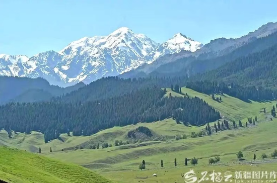 依连哈比尔尕山——天山北脉的一段重要山体，横亘于天山北坡中段。从空中远眺，山顶白雪皑皑，山腰处墨绿色的雪岭云杉层层叠叠，铺展成海，织就一道绵延不绝的绿色屏障。山脚下，起伏的绿色草原如绒毯铺展，牧草丰茂，与云杉林自然过渡，构成天山最经典的垂直景观带。图为依连哈比尔尕山风光，雪山、云杉、草原由远及近层层展开。刘跃摄e