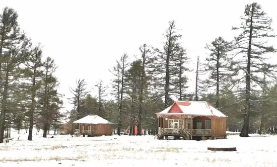 天山东端的喀尔里克山，坐落在哈密市东北方向，这里生长着大量的雪岭云杉。图为喀尔里克山山脚下，几间民房静静散落在云杉林间，与森林、雪山构成一幅安宁的画卷。刘跃摄