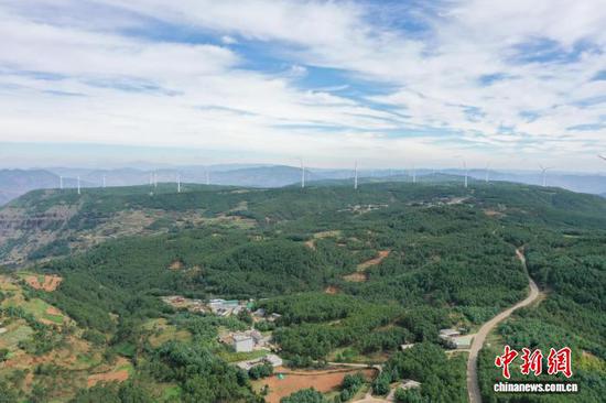 图为10月12日，航拍威宁自治县海拉镇海明社区林下天麻种植基地一角。（无人机照片）陈逍 摄